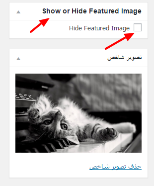 hide_feature_image_parswp